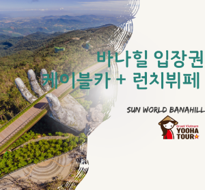 입장권_다낭 바나힐 입장권 + 케이블카 + 런치뷔페