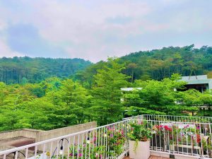 하노이 풀빌라 플라밍고 Haru 7룸 - 이미지 11